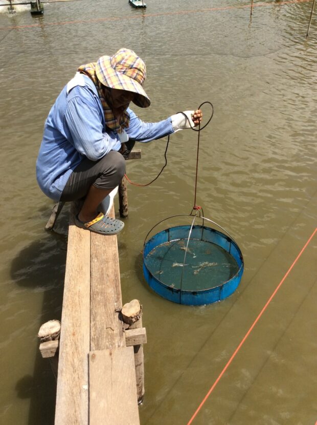 Aquaculture Farmer