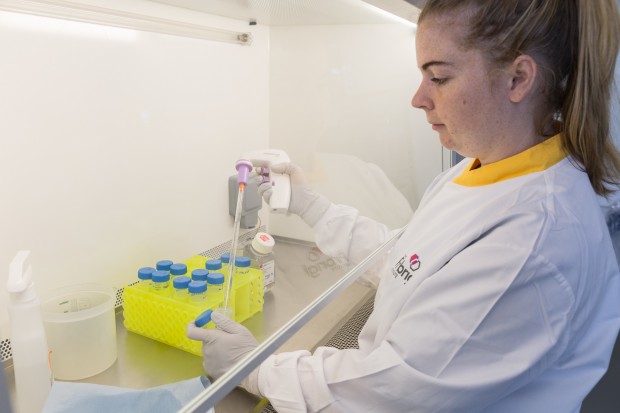A scientist working in the virus laboratories at the Pirbright Institute.