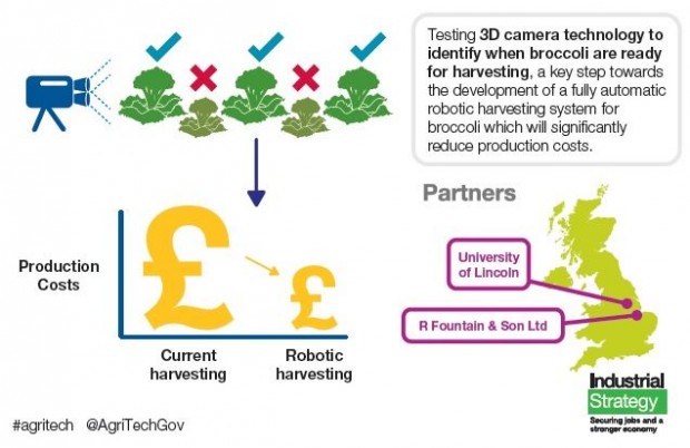 Robotic Broccoli Harvesting Project Infographic